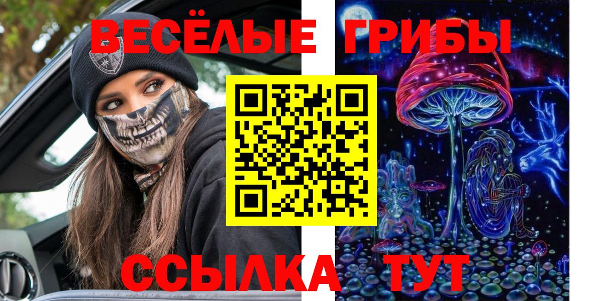 Галлюциногенные грибы Cubensis Обнинск