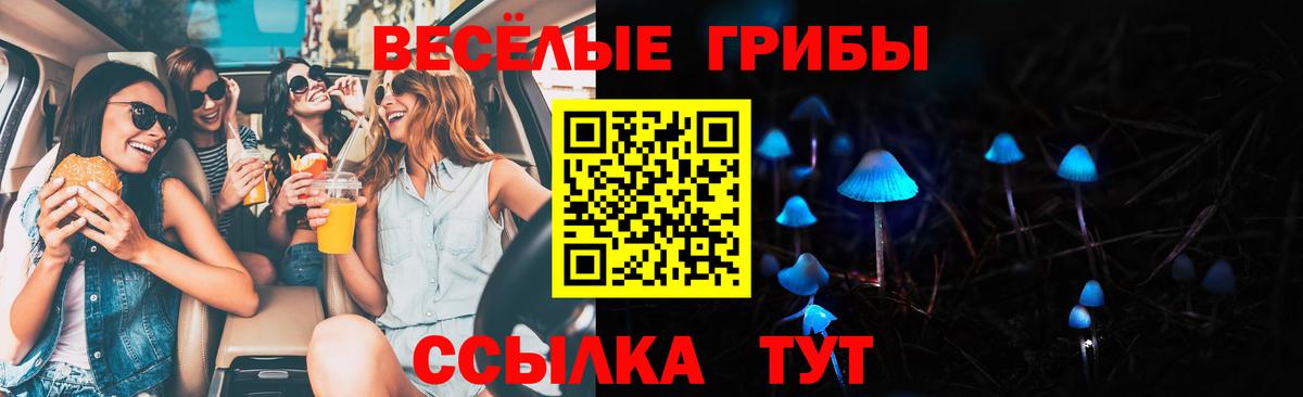 что такое   Псилоцибиновые грибы мухоморы  Обнинск  Вход с VPN  Галлюциногенные грибы Psilocybine cubensis 